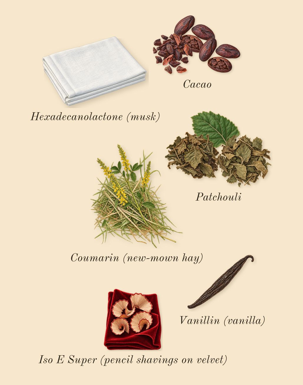 Attrape-Rêves, dry-down: Cacao, Patchouli, Iso E Super (pencil shavings on velvet), Coumarin (new-mown hay), Vanillin (vanilla), Hexadecanolactone (musk)