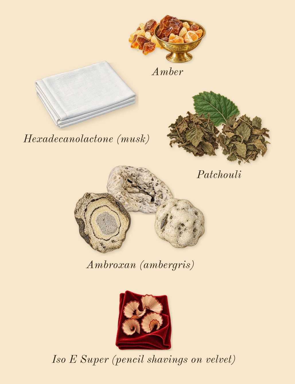 eLVes, dry-down: Ambroxan (ambergris), Patchouli, Amber, Iso E Super (pencil shavings on velvet), Hexadecanolactone (musk)