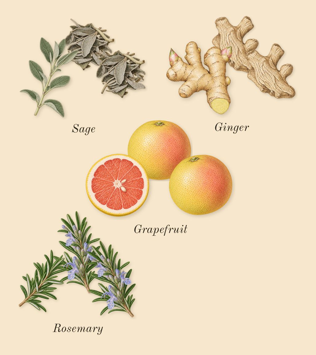 L'Immensité, top notes: Ginger, Grapefruit, Sage, Rosemary