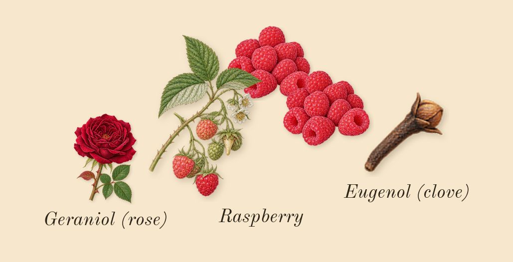 Ombre Nomade, heart: Raspberry, Geraniol (rose), Eugenol (clove)