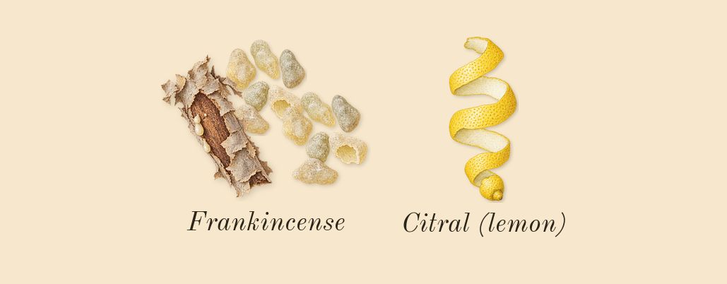 Ombre Nomade, top notes: Frankincense, Citral (lemon)