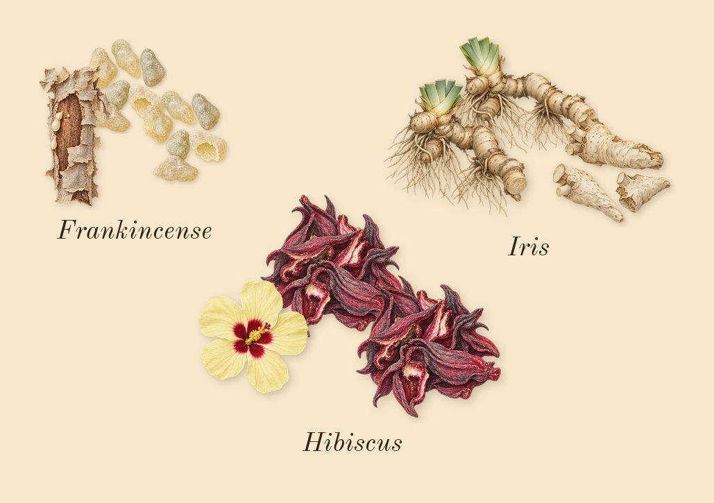 Love Hibiscus, heart: Hibiscus, Iris, Frankincense