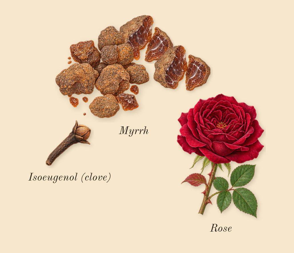 Luban Al Akhdar, heart: Myrrh, Rose, Isoeugenol (clove)