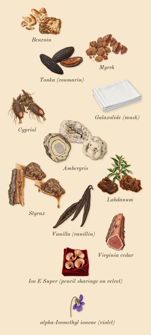 Lustre, dry-down: Benzoin, Labdanum, Vanilla (vanillin), Ambergris, Cypriol, Styrax, Tonka (coumarin), Myrrh, Virginia cedar, Iso E Super (pencil shavings on velvet), Galaxolide (musk), alpha-Isomethyl ionone (violet)