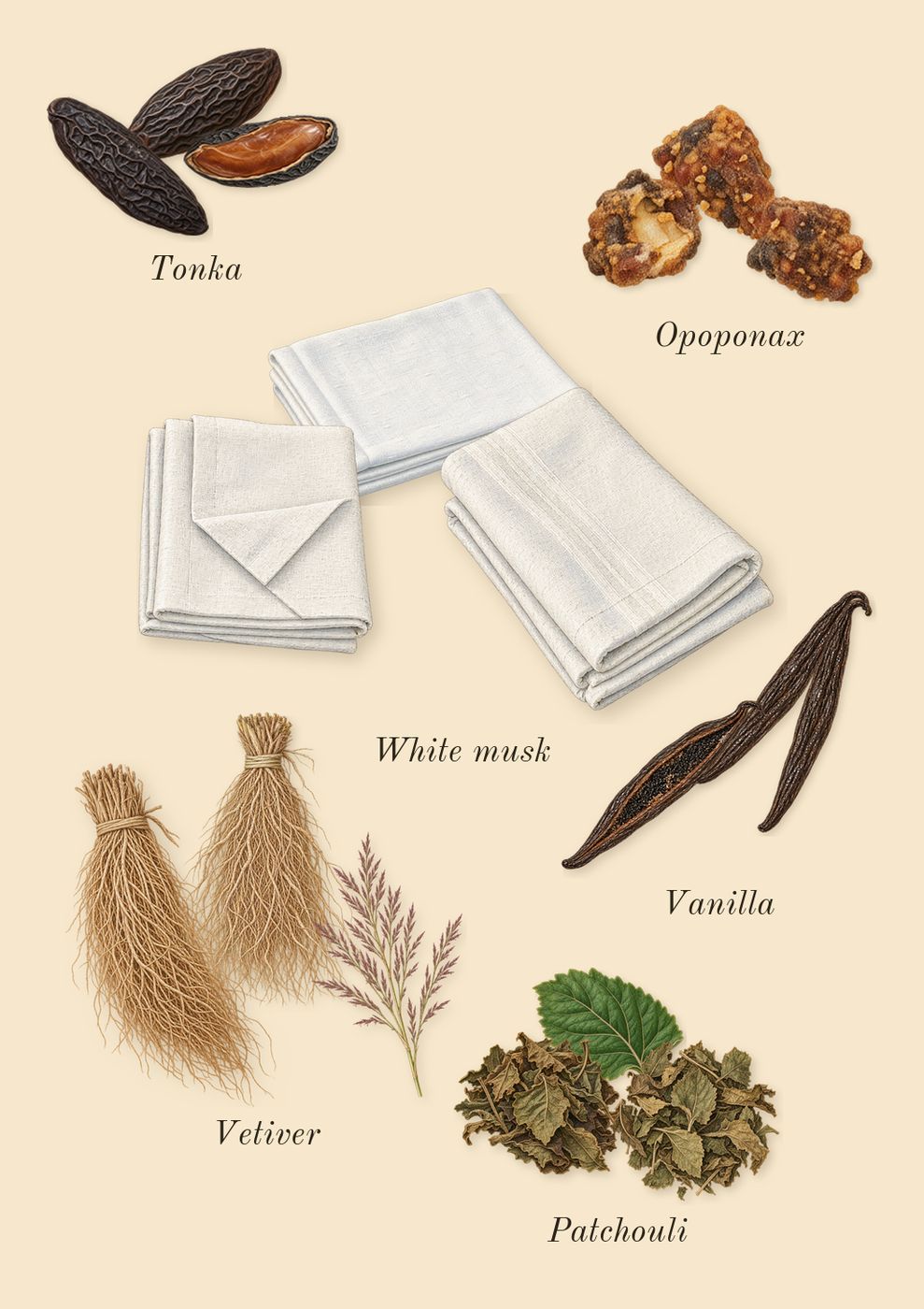 Como Moiselle, dry-down: Patchouli, White musk, Vanilla, Vetiver, Tonka, Opoponax