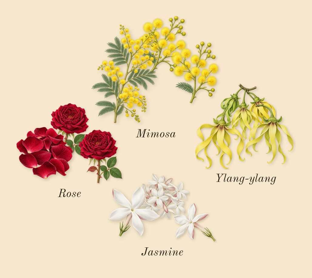 Como Moiselle, heart: Rose, Jasmine, Mimosa, Ylang-ylang