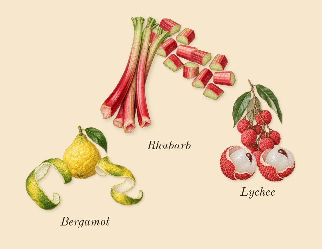 Delilah, top notes: Bergamot, Lychee, Rhubarb