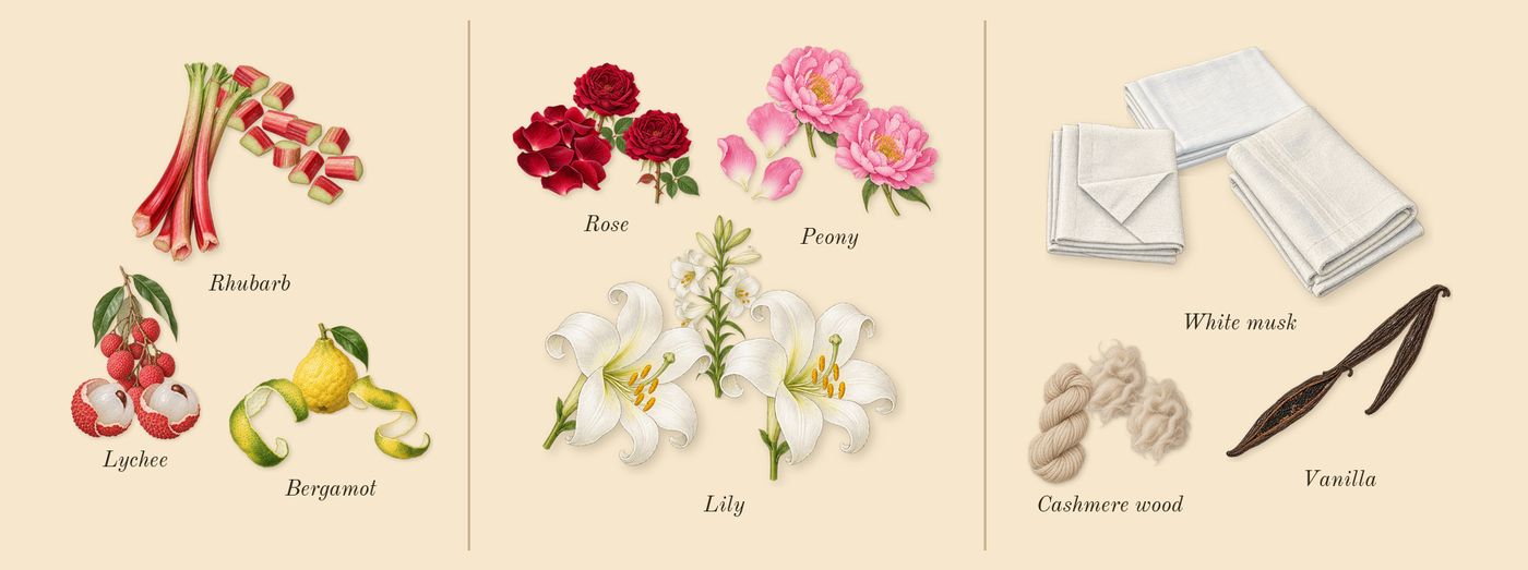 Delilah’s scent picture, a draft: bergamot, lychee, rhubarb, peony, lily, rose drawn so far; dashed outlines where nothing is drawn yet