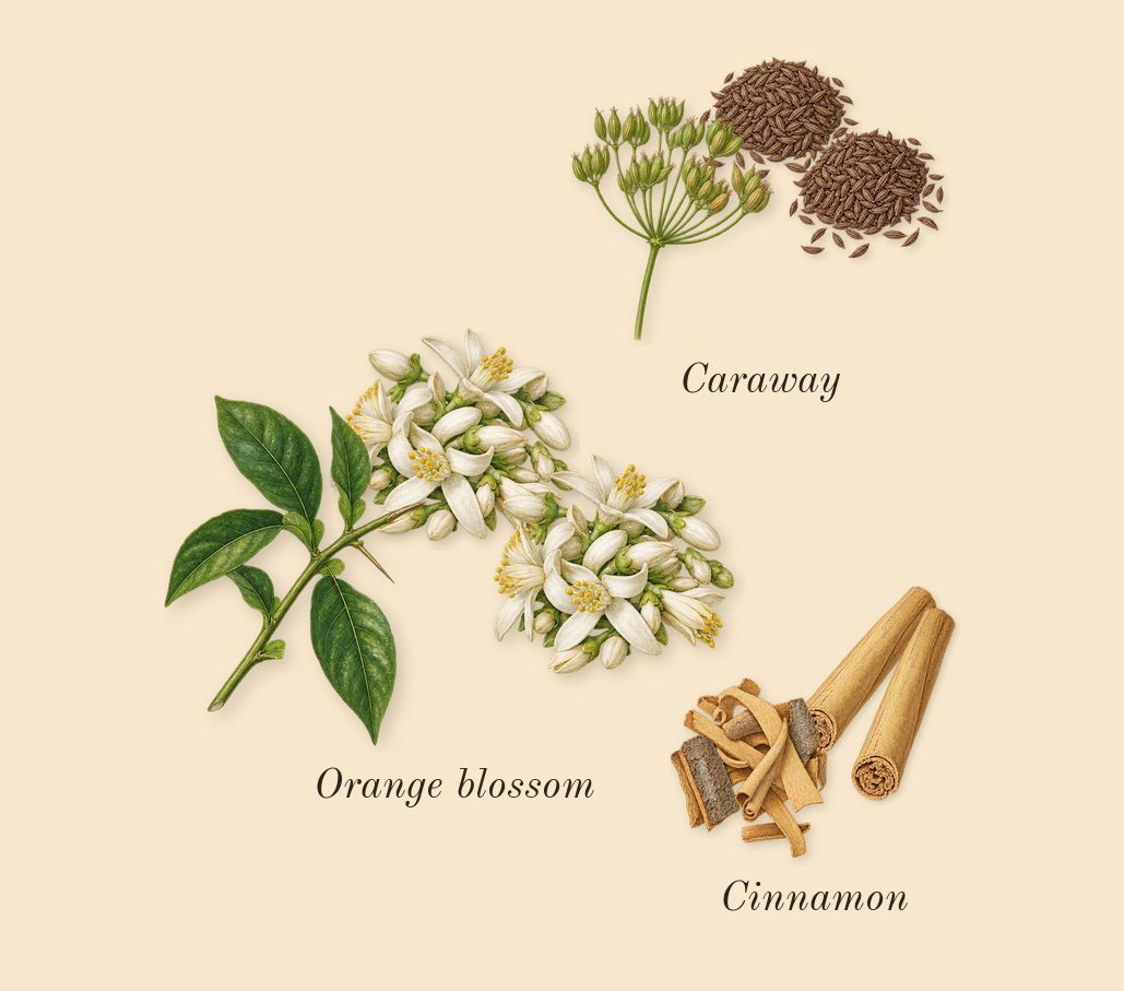 Glacier Pour Homme, heart: Cinnamon, Orange blossom, Caraway