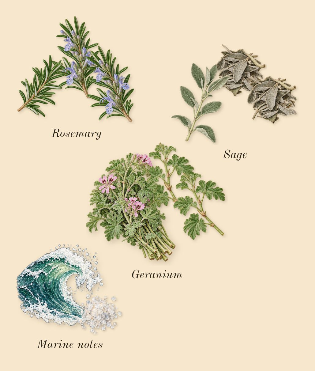 Jean Lowe Immortal, heart: Rosemary, Marine notes, Sage, Geranium