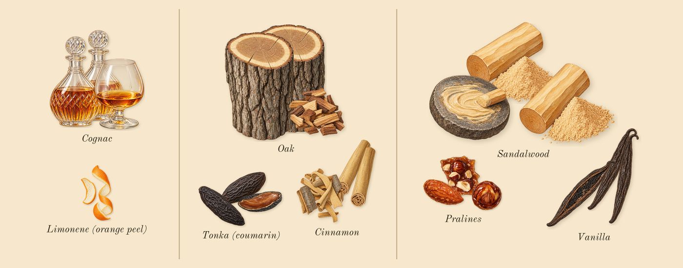 Kismet Magic’s scent picture, a draft: cognac, cinnamon, tonka (coumarin), oak, pralines, vanilla drawn so far; dashed outlines where nothing is drawn yet