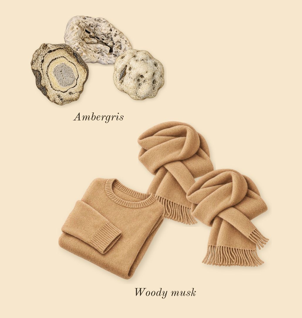 La Rouge Baroque, dry-down: Woody musk, Ambergris