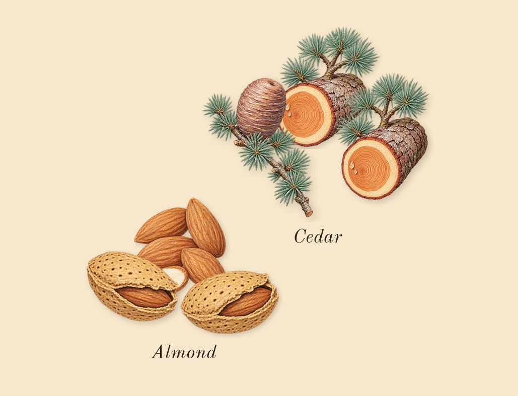 La Rouge Baroque, heart: Almond, Cedar