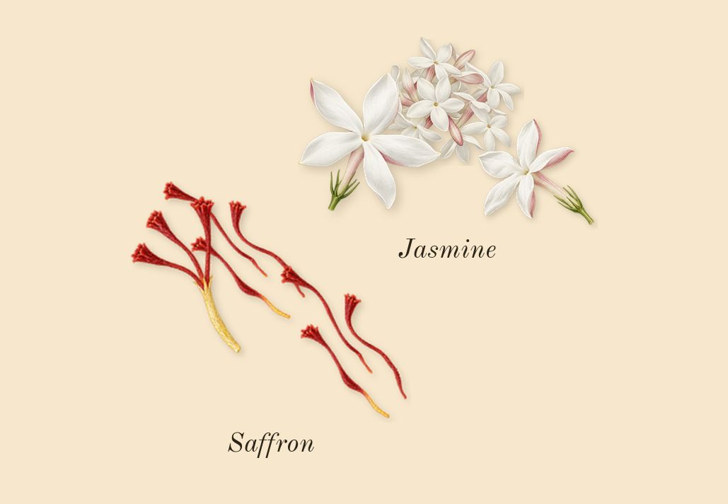 La Rouge Baroque, top notes: Jasmine, Saffron