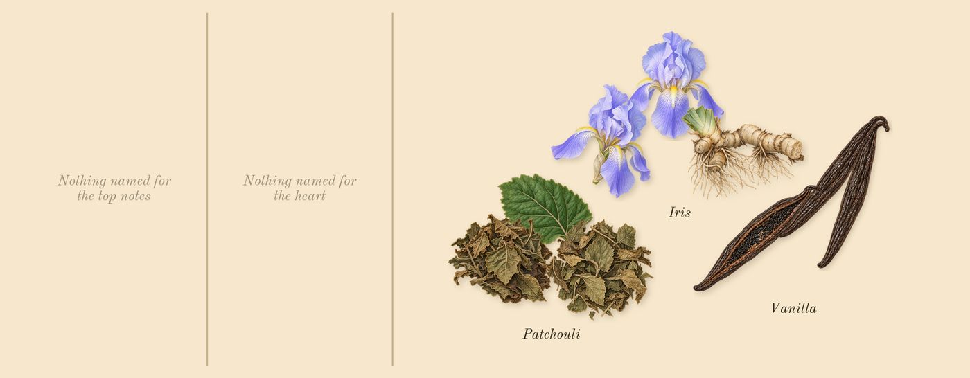 La Vita Bella’s scent picture, a draft: iris, patchouli, vanilla drawn so far; dashed outlines where nothing is drawn yet
