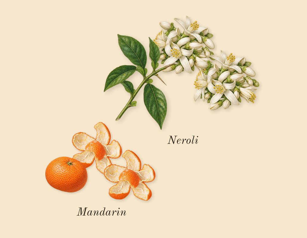 Leonie, top notes: Mandarin, Neroli
