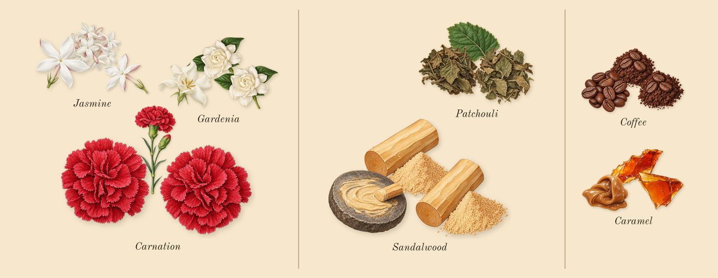Luxe Nightlife’s scent picture, a draft: gardenia, carnation, jasmine, patchouli, sandalwood, caramel drawn so far; dashed outlines where nothing is drawn yet