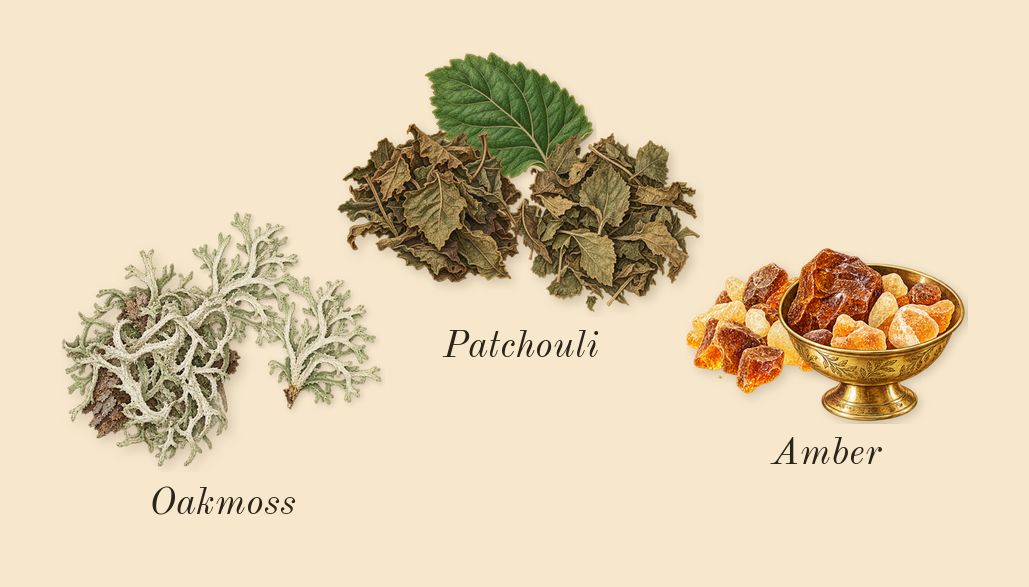 Opulence Leather, dry-down: Amber, Oakmoss, Patchouli