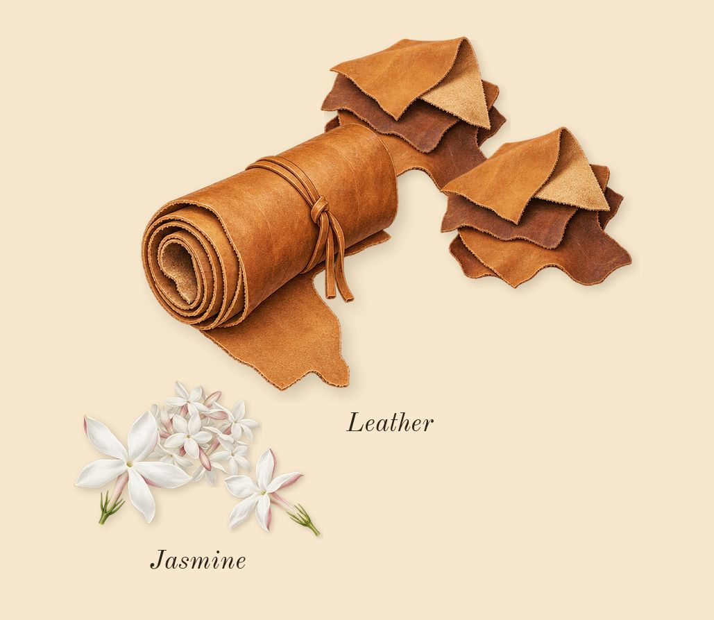 Opulence Leather, heart: Leather, Jasmine