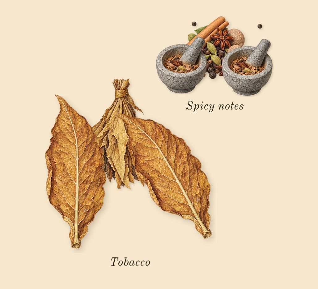Tobacco Touch, top notes: Tobacco, Spicy notes
