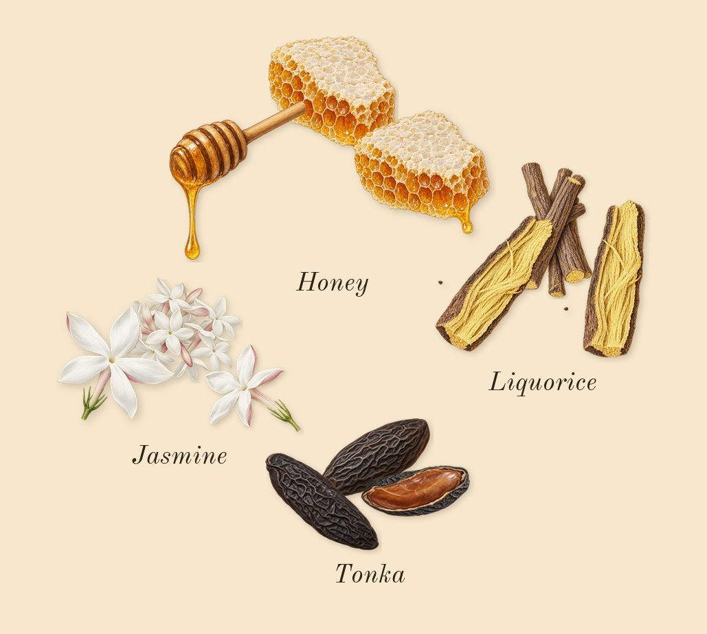 Vanilla Voyage, heart: Jasmine, Tonka, Honey, Liquorice