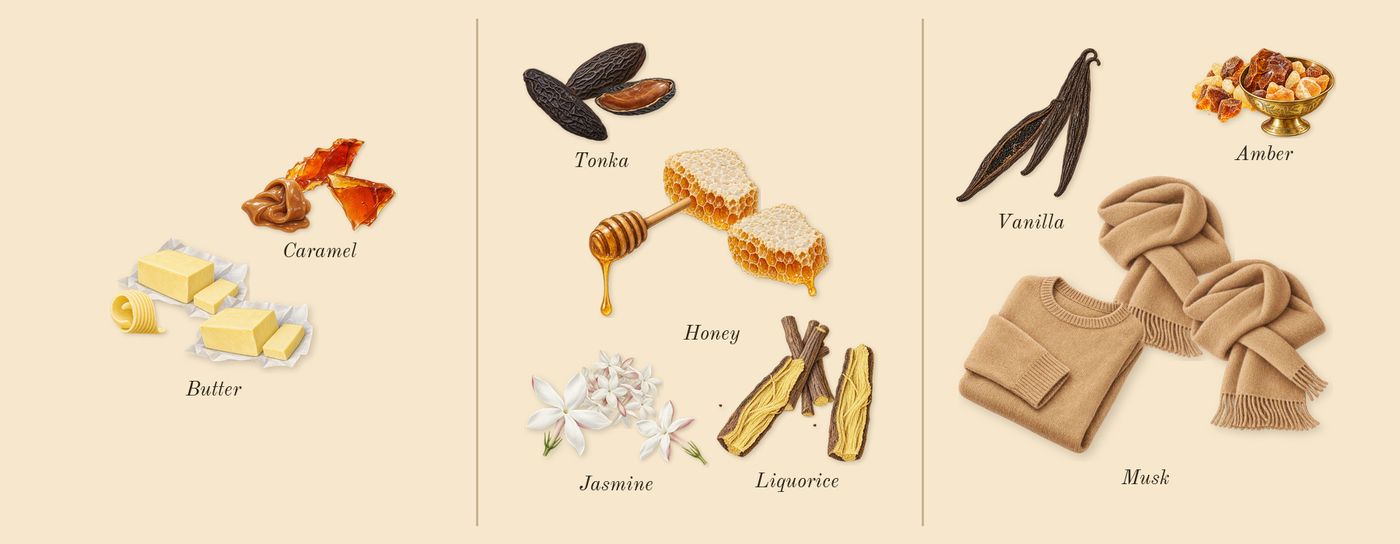 Vanilla Voyage’s scent picture, a draft: caramel, butter, jasmine, tonka, honey, vanilla drawn so far; dashed outlines where nothing is drawn yet