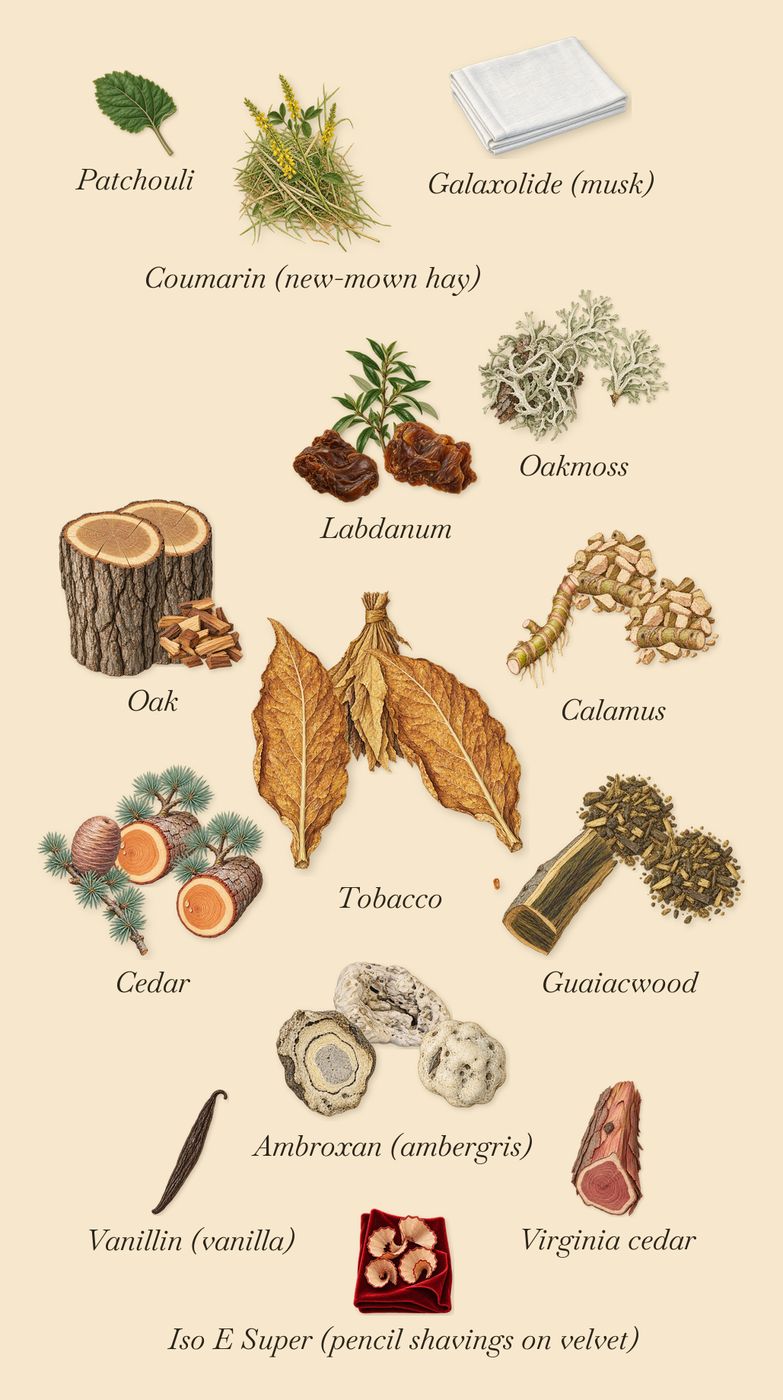 Lys Sølaberg, what stays: Calamus, Guaiacwood, Ambroxan (ambergris), Oakmoss, Cedar, Oak, Tobacco, Labdanum, Virginia cedar, Patchouli, Iso E Super (pencil shavings on velvet), Galaxolide (musk), Coumarin (new-mown hay), Vanillin (vanilla)