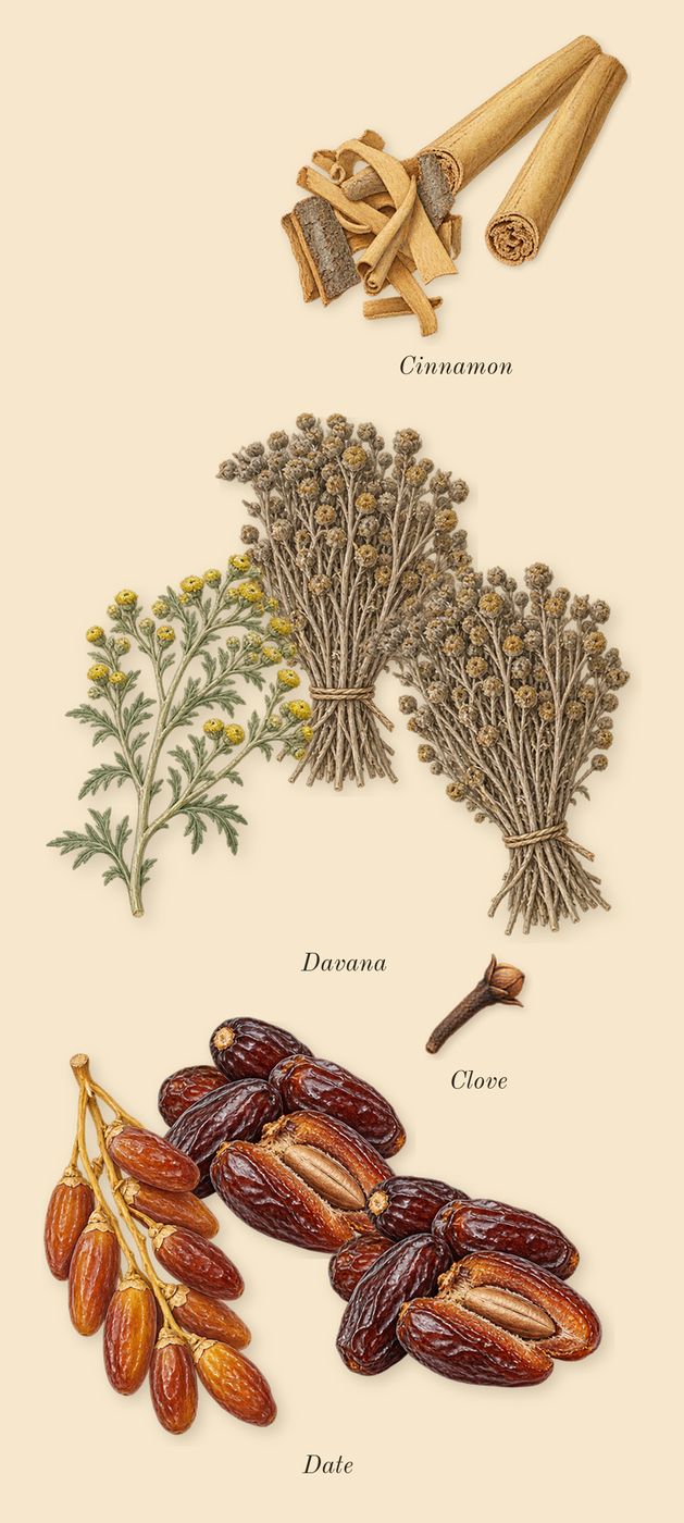 Oud Cadenza, heart: Cinnamon, Davana, Date, Clove