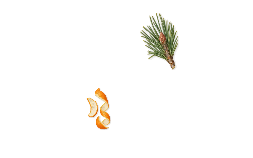 Patchouli Magnetik, when you spray it: Limonene (orange peel), Pinene (pine needles)