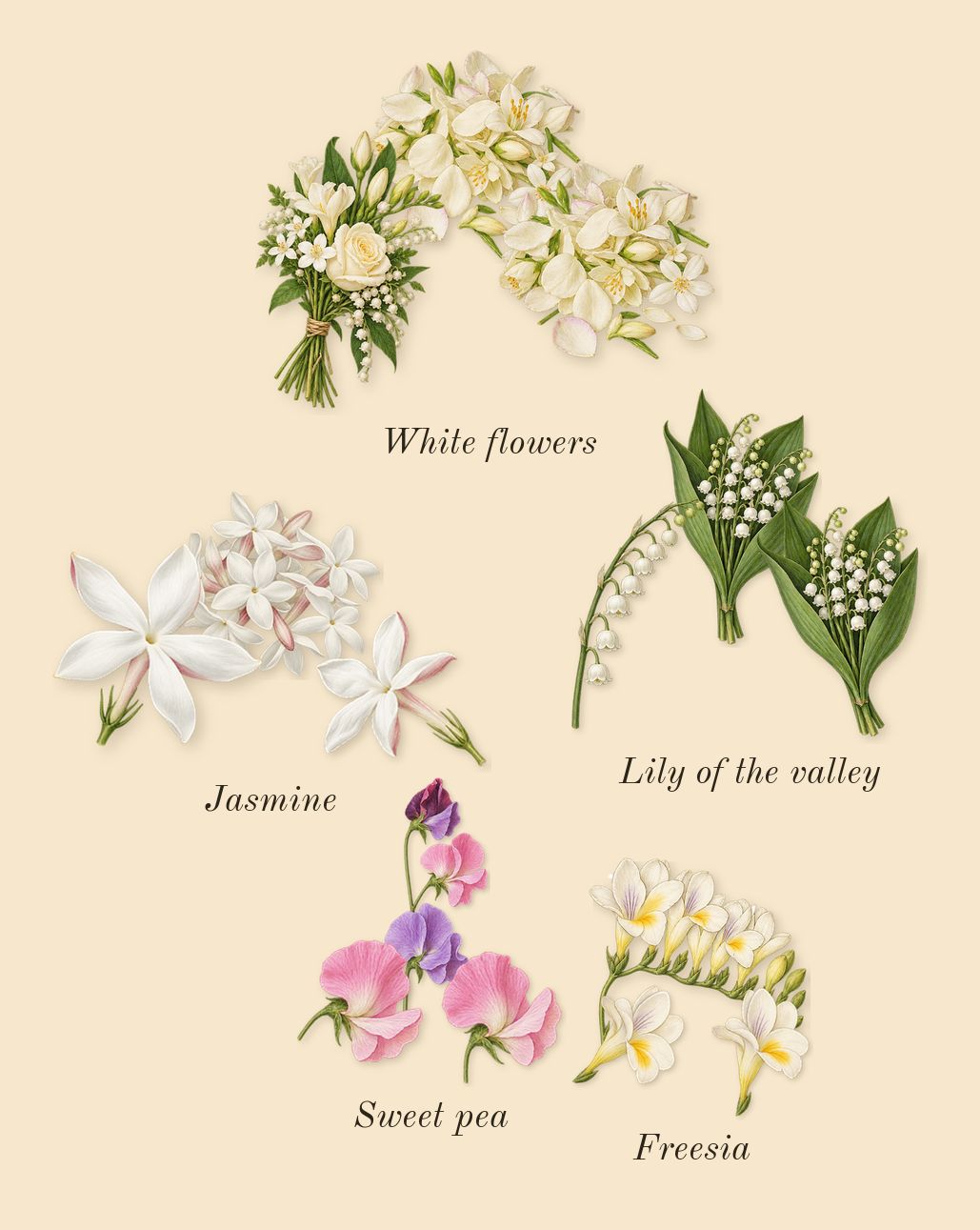 724, heart: White flowers, Jasmine, Sweet pea, Freesia, Lily of the valley