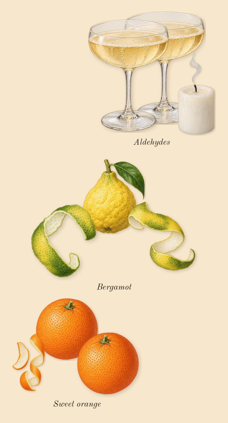 724, top notes: Aldehydes, Bergamot, Sweet orange