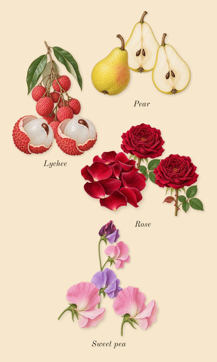 À la Rose, heart: Sweet pea, Rose, Pear, Lychee