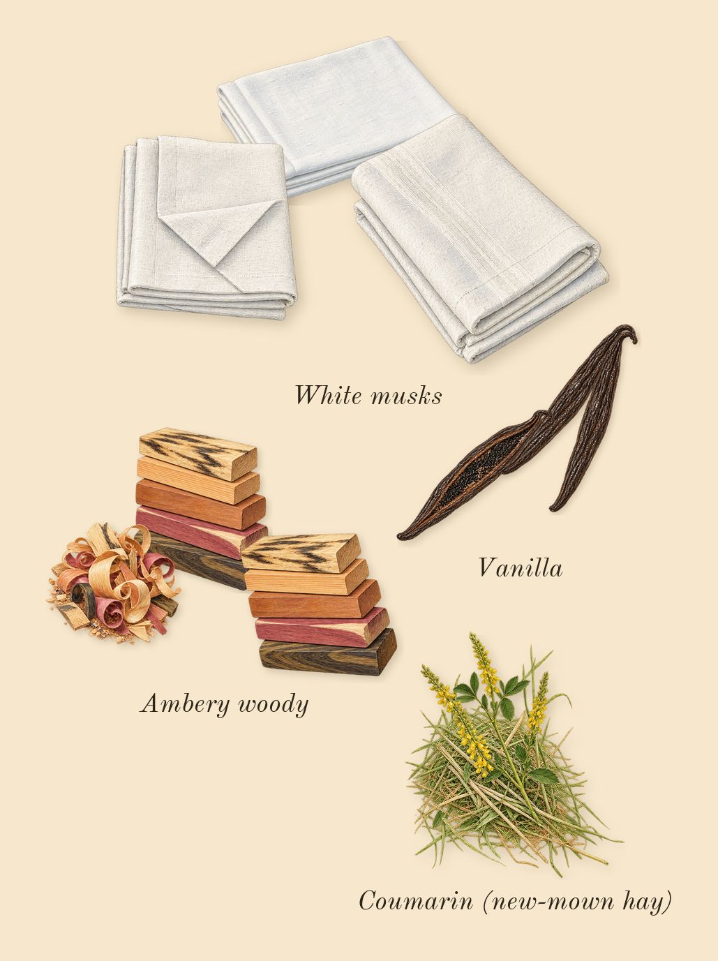 APOM, dry-down: Ambery woody, Vanilla, White musks, Coumarin (new-mown hay)