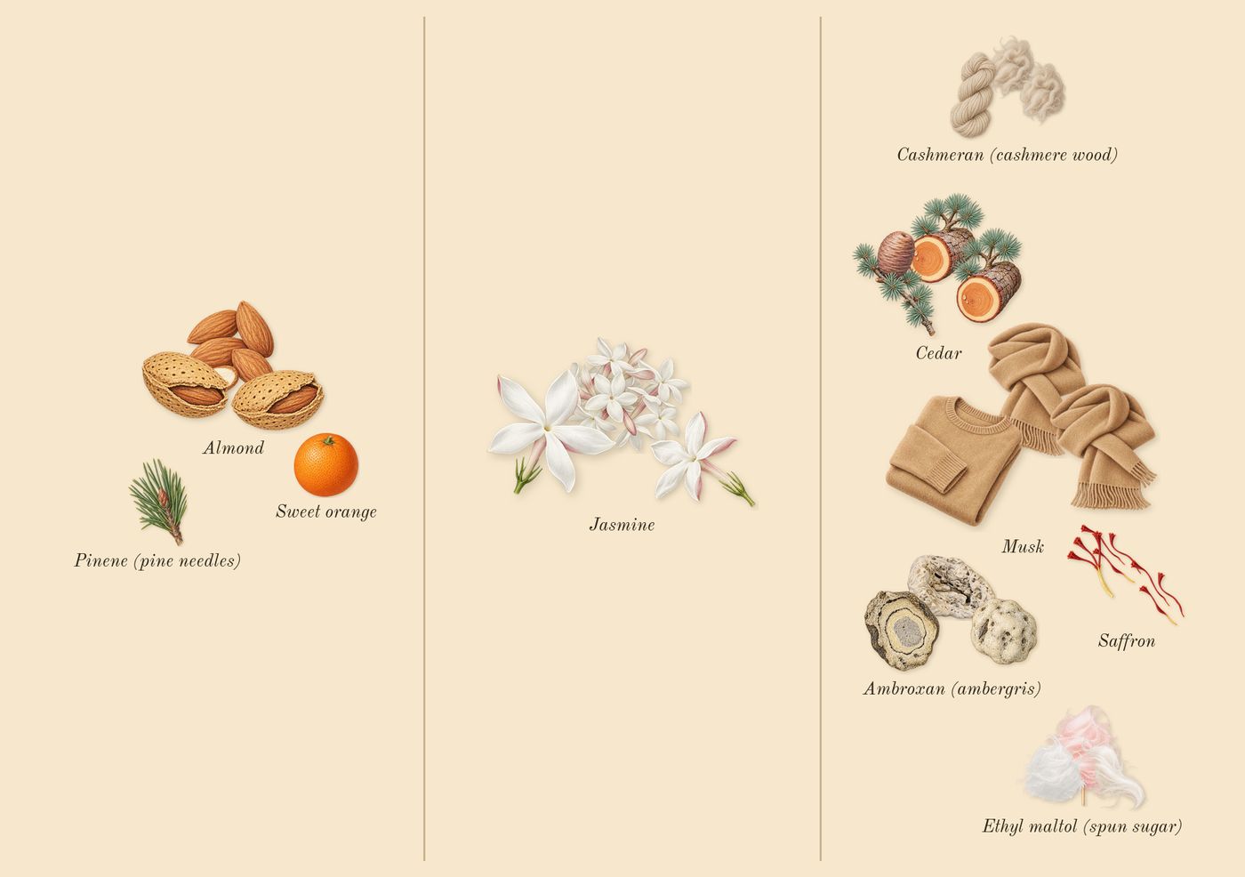 Baccarat Rouge 540’s scent picture, a draft: cashmeran (cashmere wood), ambroxan (ambergris), jasmine, saffron, ethyl maltol (spun sugar), almond drawn so far; dashed outlines where nothing is drawn yet