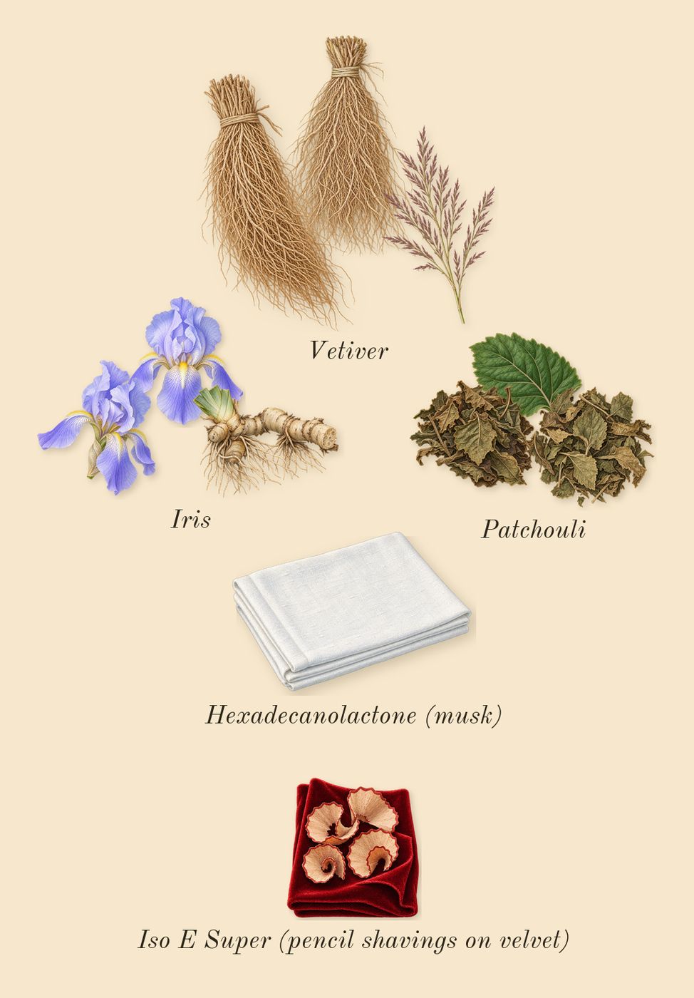 Féminin Pluriel, dry-down: Patchouli, Vetiver, Iris, Iso E Super (pencil shavings on velvet), Hexadecanolactone (musk)