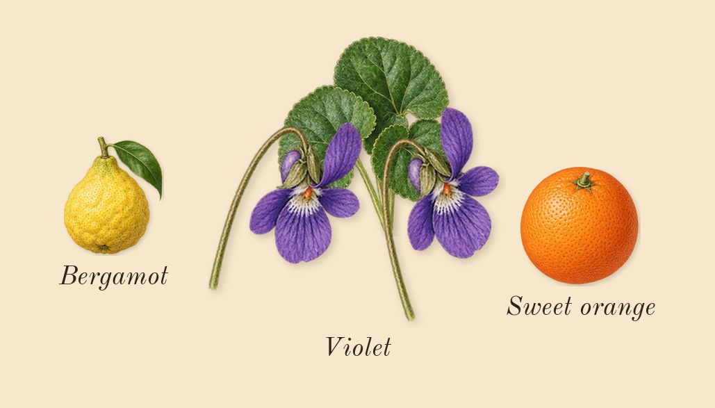 Féminin Pluriel, top notes: Violet, Bergamot, Sweet orange