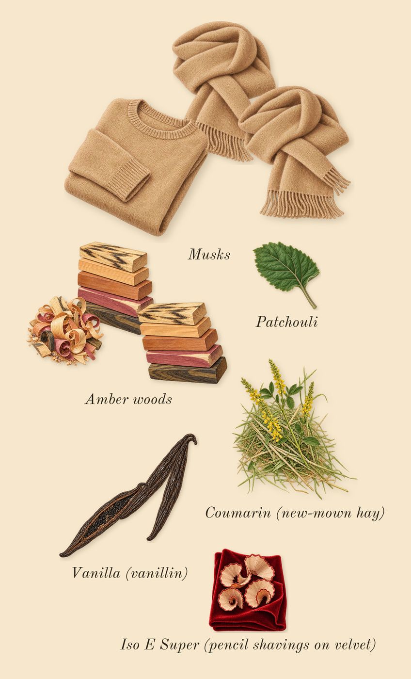Gentle Fluidity Gold, dry-down: Vanilla (vanillin), Amber woods, Musks, Patchouli, Iso E Super (pencil shavings on velvet), Coumarin (new-mown hay)
