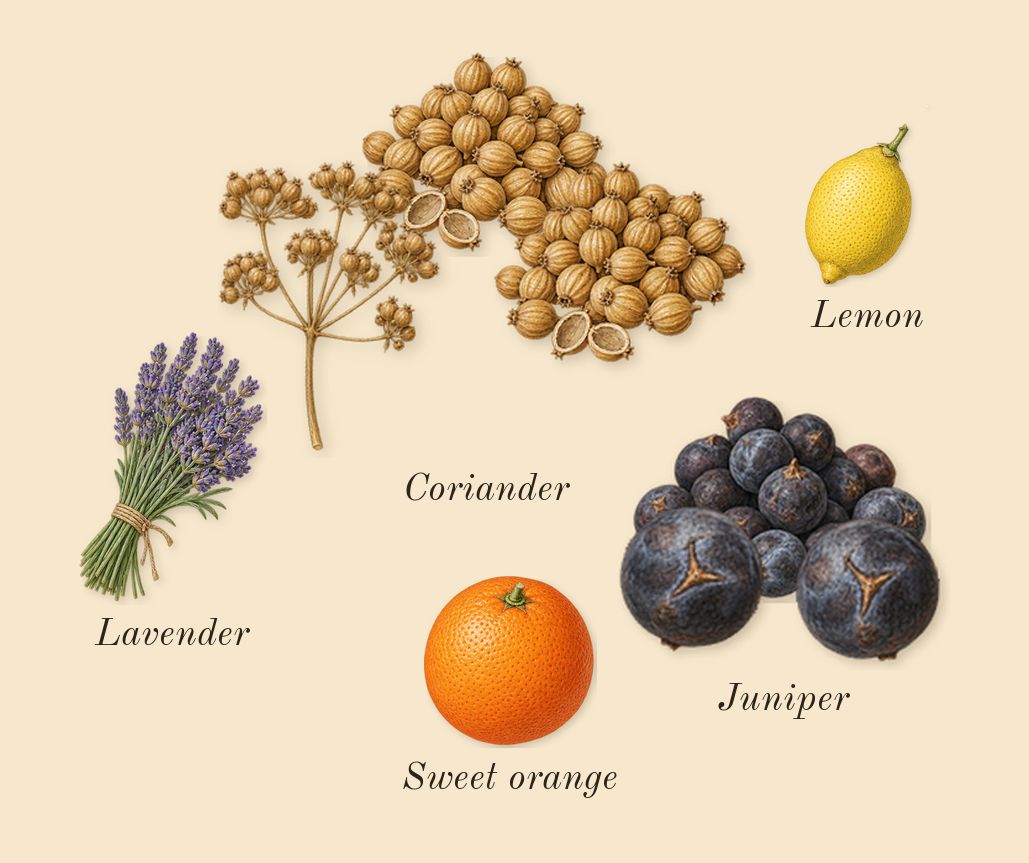 Gentle Fluidity Silver, top notes: Juniper, Coriander, Sweet orange, Lavender, Lemon