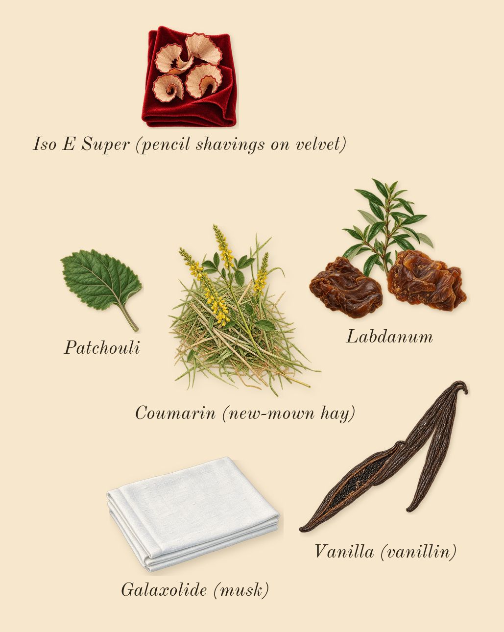 Grand Soir, dry-down: Vanilla (vanillin), Labdanum, Patchouli, Iso E Super (pencil shavings on velvet), Galaxolide (musk), Coumarin (new-mown hay)
