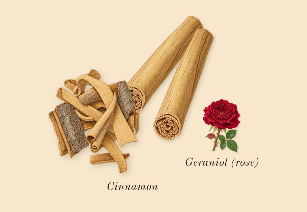 Grand Soir, heart: Cinnamon, Geraniol (rose)