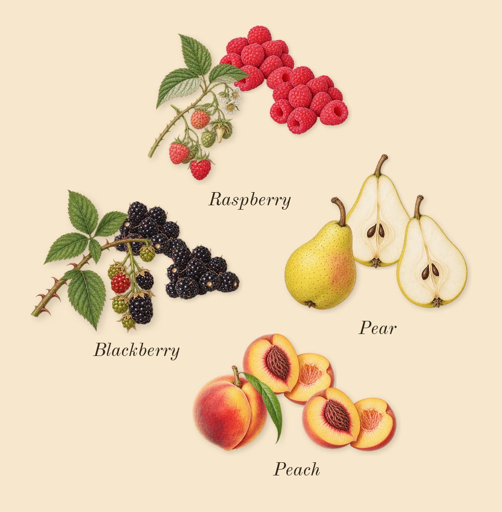 Kurky, heart: Pear, Peach, Raspberry, Blackberry
