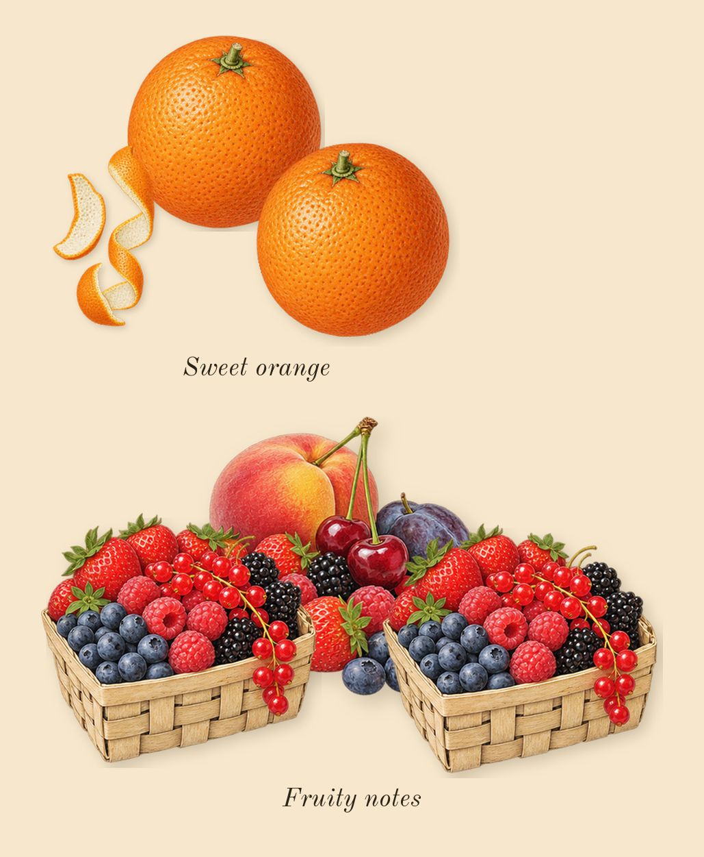 Kurky, top notes: Fruity notes, Sweet orange