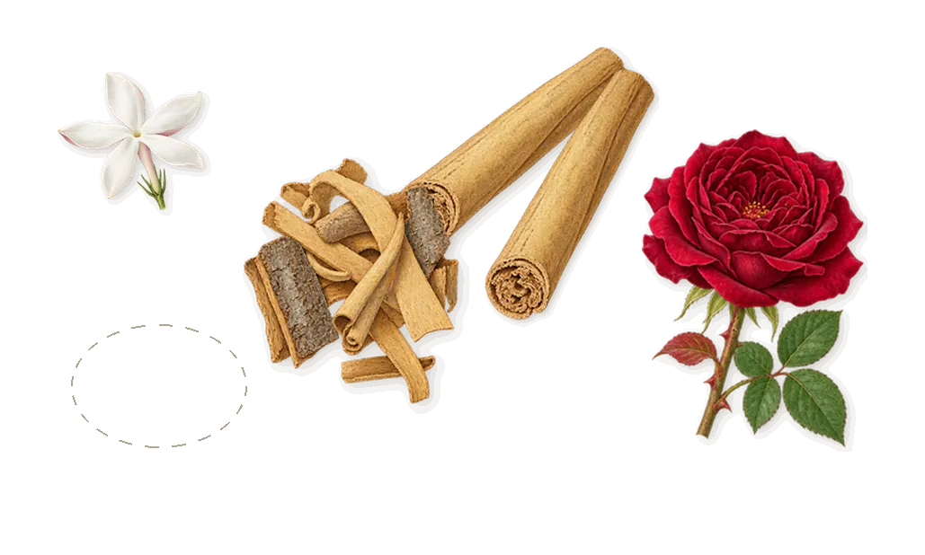 Oud Velvet Mood, as it settles: Cinnamon, Copaiba balm, Jasmine, Rose