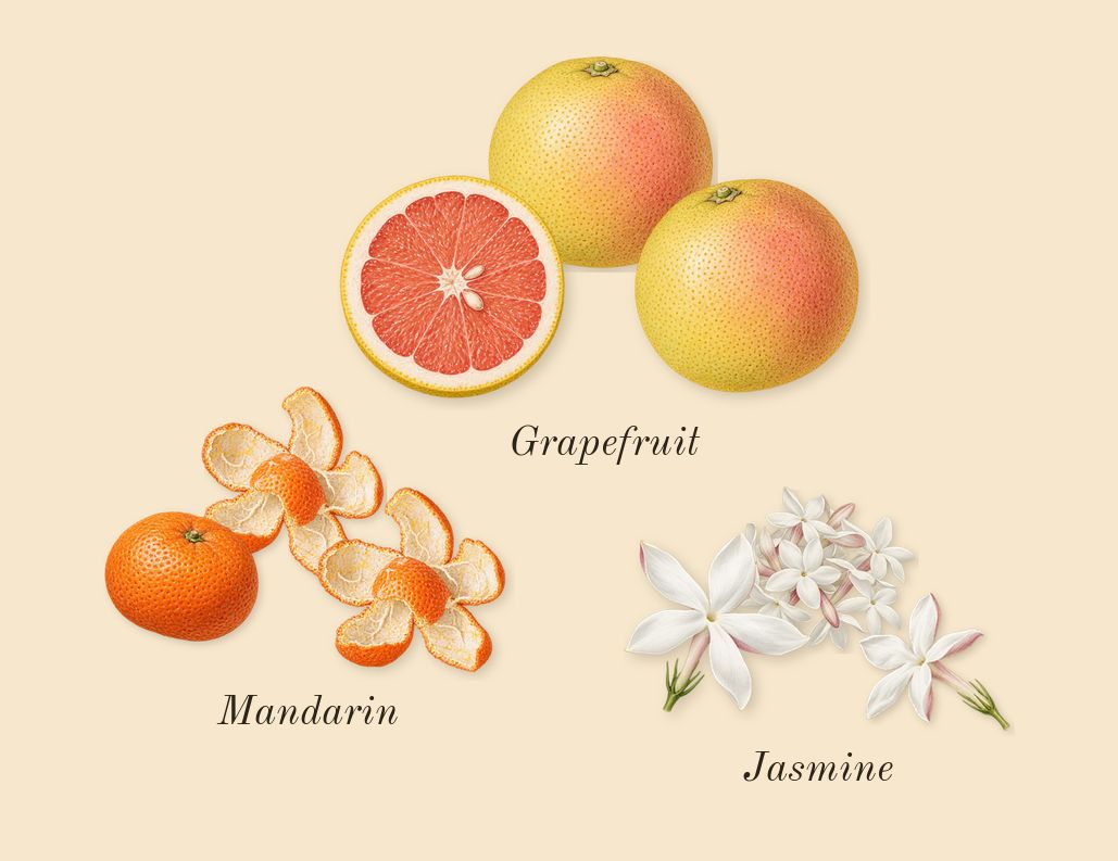 No.14 Icila, top notes: Grapefruit, Mandarin, Jasmine