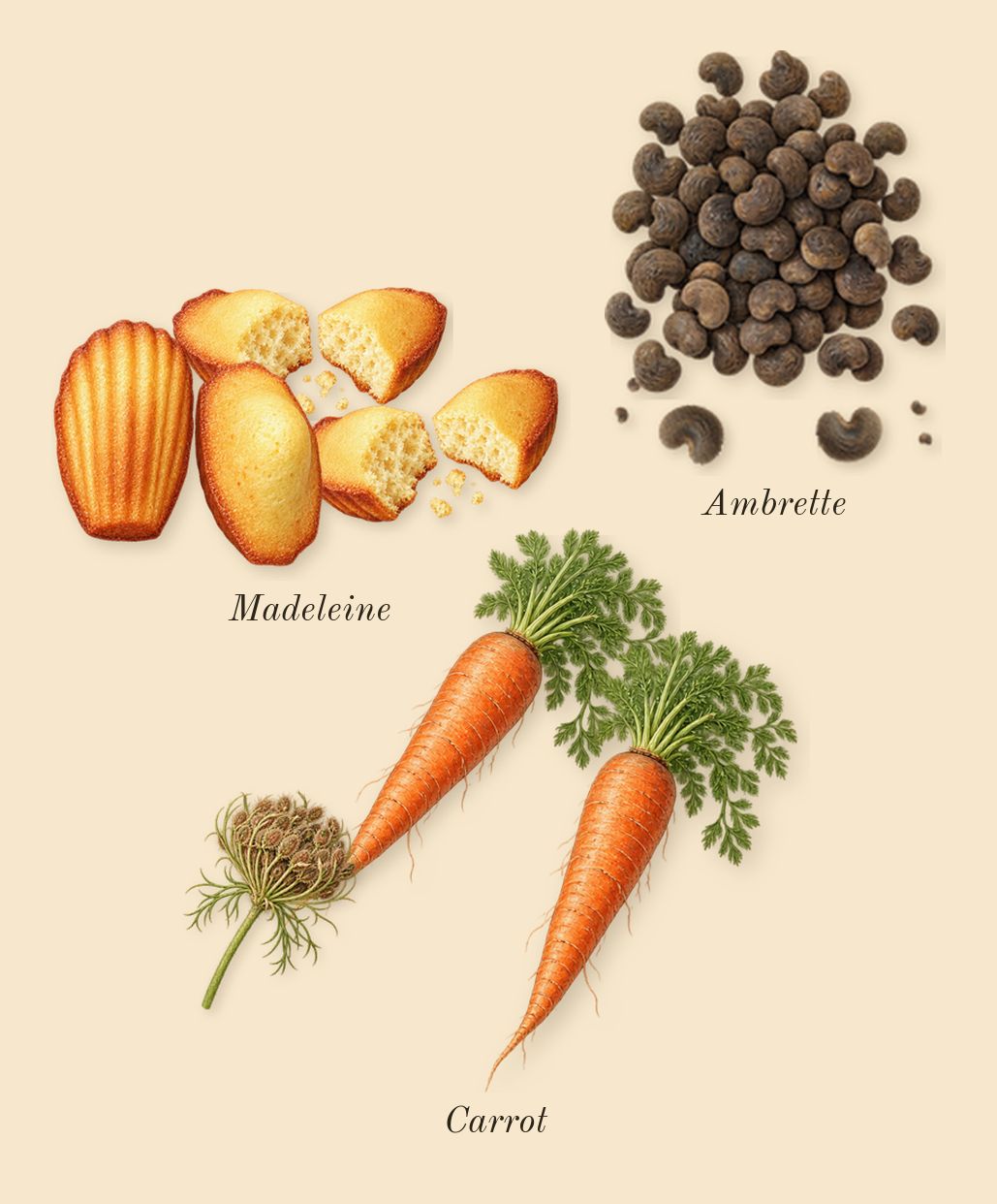 Replica Afternoon Delight, heart: Madeleine, Carrot, Ambrette