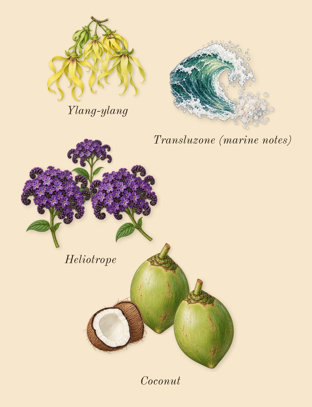Replica Beach Walk, heart: Ylang-ylang, Transluzone (marine notes), Heliotrope, Coconut