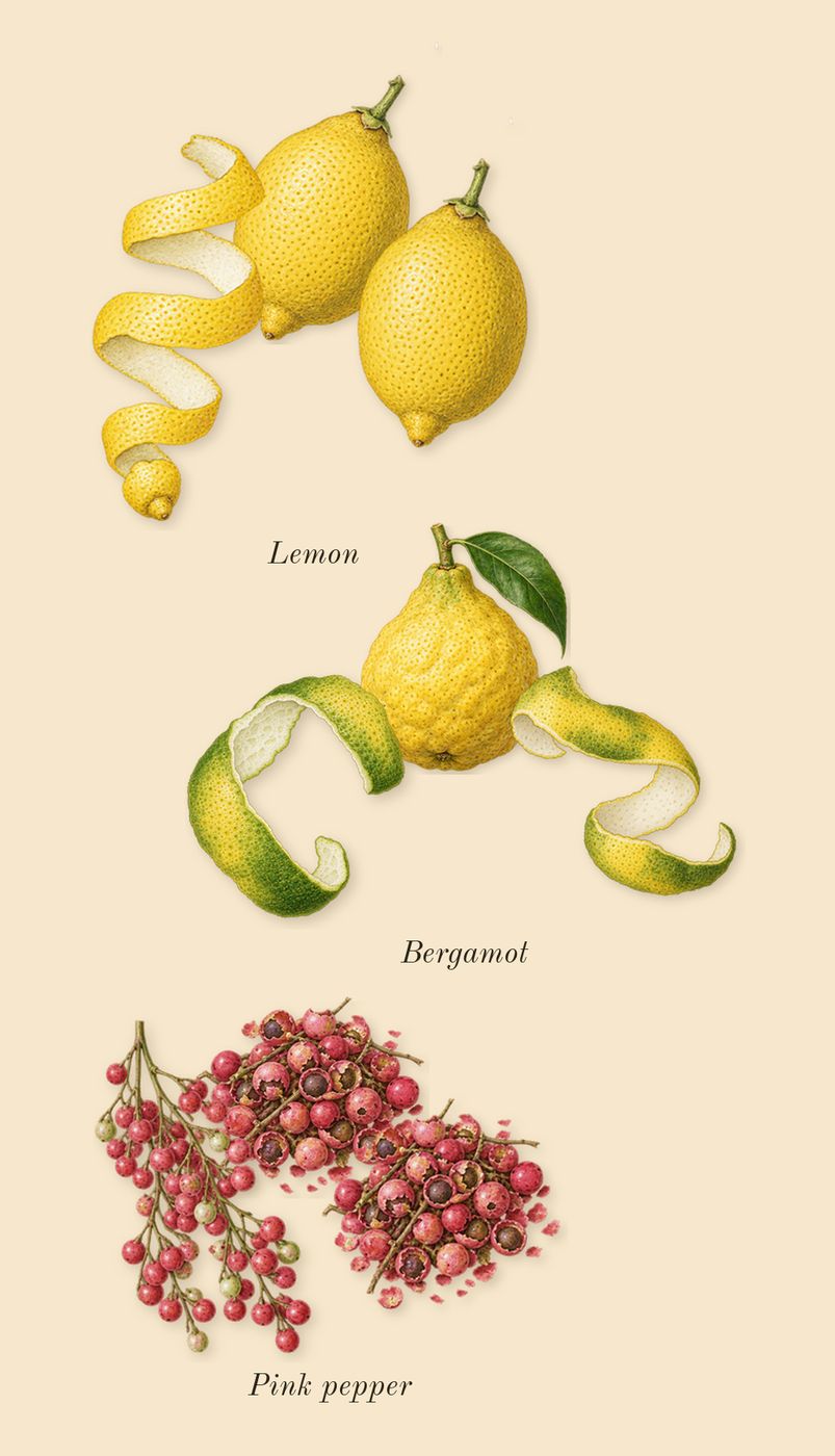 Replica Beach Walk, top notes: Bergamot, Pink pepper, Lemon