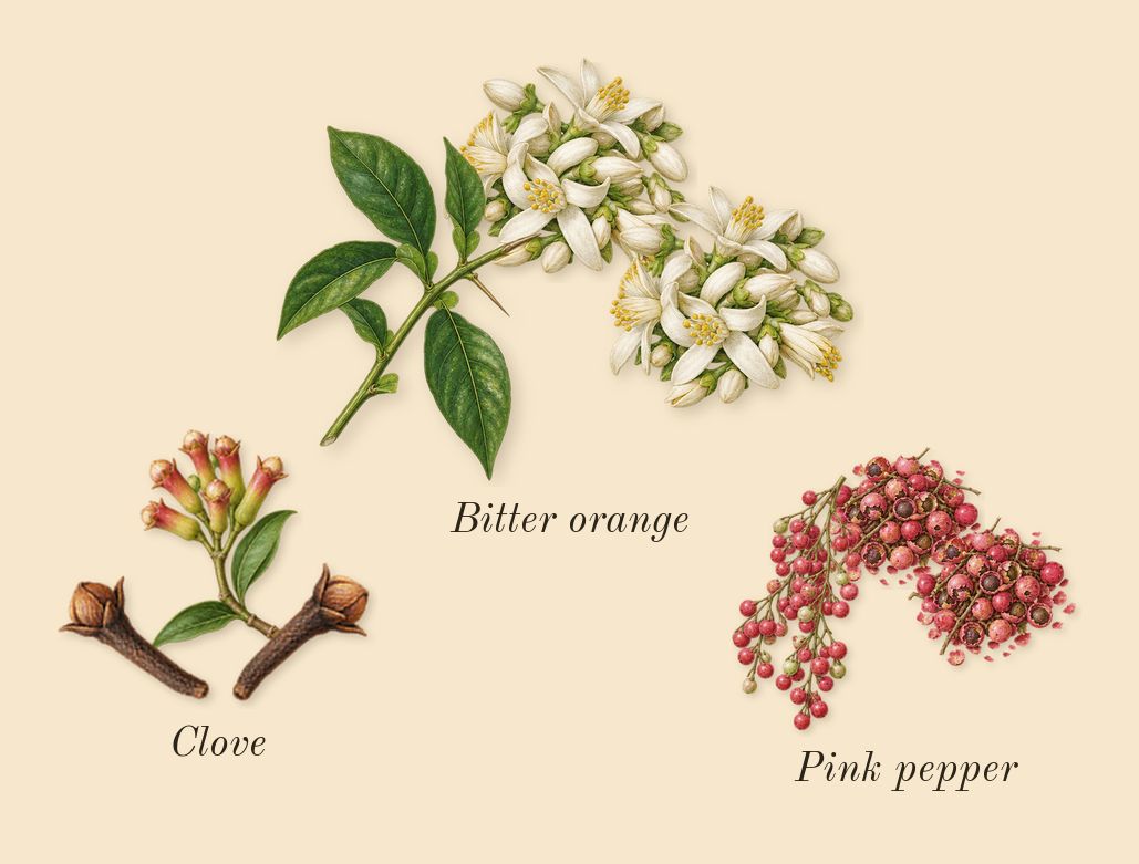 Replica By the Fireplace, top notes: Pink pepper, Bitter orange, Clove