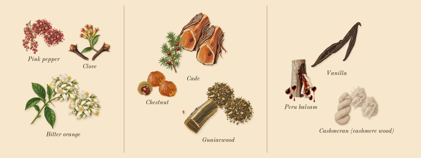 Replica By the Fireplace’s scent picture, a draft: pink pepper, bitter orange, clove, chestnut, guaiacwood, cade drawn so far; dashed outlines where nothing is drawn yet