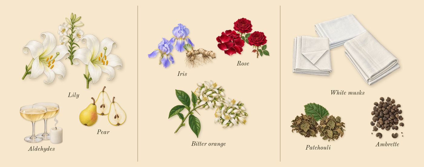 Replica Lazy Sunday Morning’s scent picture, a draft: pear, lily, aldehydes, iris, rose, bitter orange drawn so far; dashed outlines where nothing is drawn yet